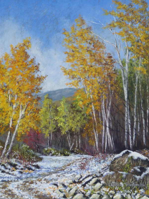 Première neige (Québec)