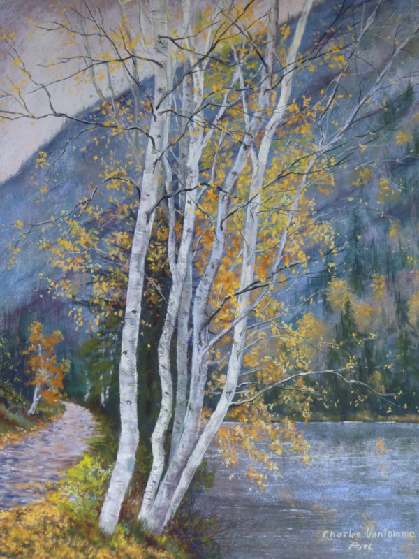 Rive de la malbaie, Québec